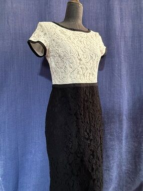 Ann Taylor Two-Tone Black and White Lace Sheath Dress